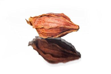 《最后的生还者2：重制版》发布全新特性介绍视频